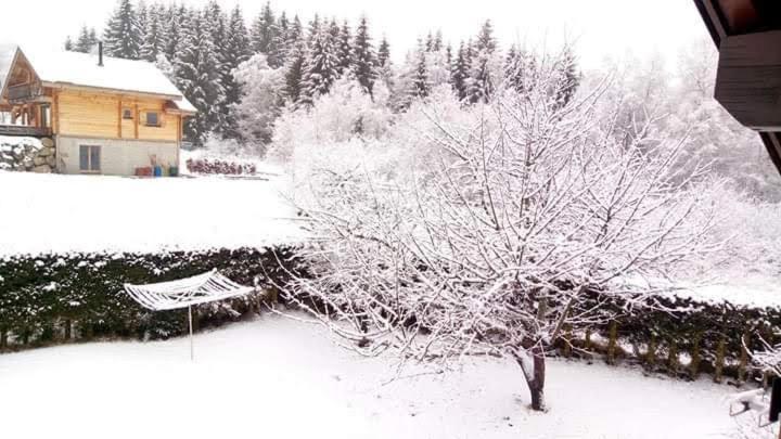 Chalet Trois Etoiles Xonrupt-Longemer Bagian luar foto